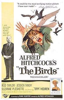 220px-The Birds original poster