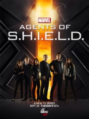 agents shield 300