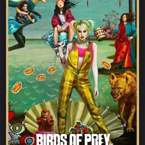 Birds of Prey framed 2